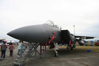 f-15e strike eagle 