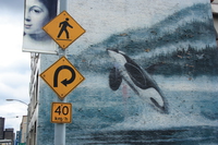 view--orca mural 