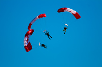 maple parachutes Abbotsdord, British Columbia, Canada, North America