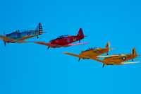 20100815155155_view--harvards_in_a_line
