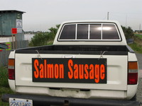 salmon sausage 