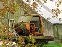 view--rust truck on delta dyke 