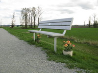 memorial bench 