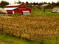 20100320145725_red_barn_house