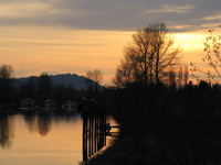 view--river bank in sunset 