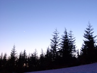 06010143_first_star_of_cypress