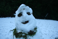 051211160522_skeleton_snowman