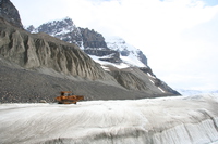 icefield 