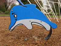 blue dolphin 